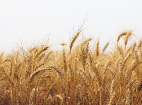 New York Feds Williams says yield surge due to strong economic prospects — Economy coverage by New Way News. Photo: Ferdou...