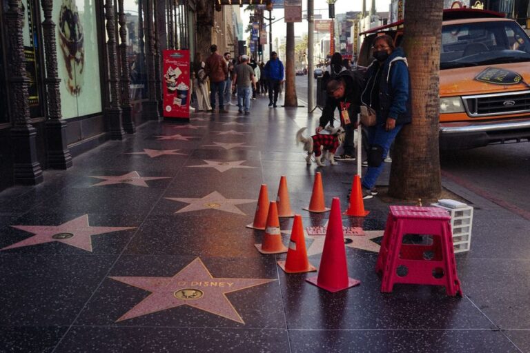 American pop culture icons balk at White House deportation marketing — Entertainment coverage by New Way News. Photo: Dary...